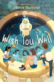 Cover of the book 'Wish You Well'