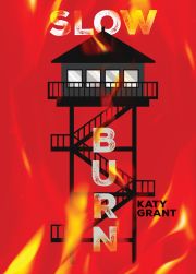 Cover of the book 'Slow Burn'