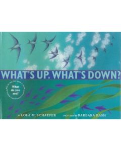 What’s Up, What’s Down?