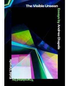 The Visible Unseen: Essays