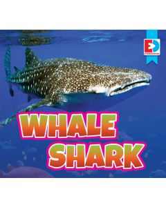 Whale Shark