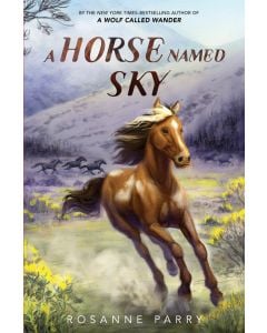 A Horse Named Sky