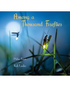 Among a Thousand Fireflies