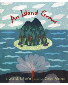 An Island Grows