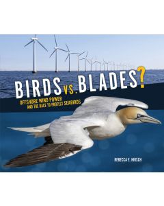 Birds vs. Blades?: Offshore Wind Power and the Race to Protect Seabirds