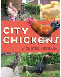 City Chickens
