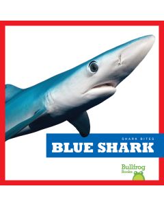 Blue Shark
