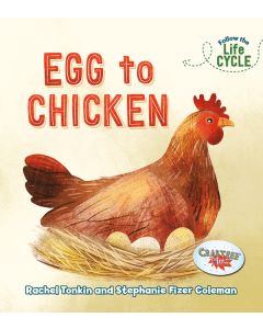 Egg to Chicken