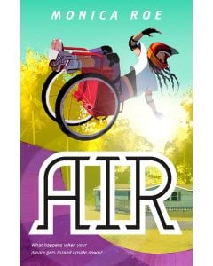 Air: A Novel