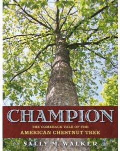 Champion: The Comeback Tale of the American Chestnut Tree