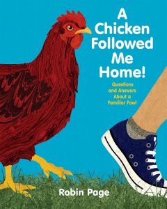 A Chicken Followed Me Home!: Questions and Answers About a Familiar Fowl