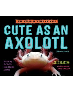 Cute As An Axolotl: The World of Weird Animals