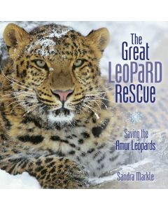 The Great Leopard Rescue: Saving the Amur Leopards