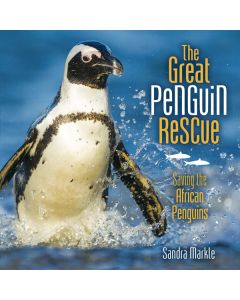 The Great Penguin Rescue: Saving the African Penguins