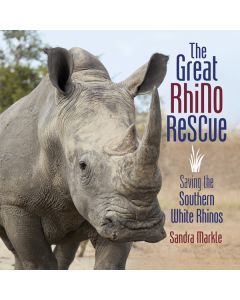 The Great Rhino Rescue: Saving the Southern White Rhinos