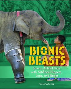Bionic Beasts: Saving Animal Lives with Artificial Flippers, Legs, and Beaks