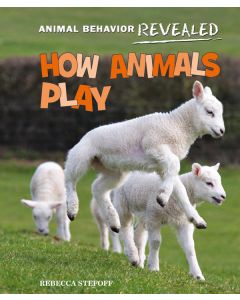 How Animals Play