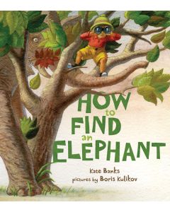 How to Find an Elephant