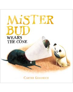 Mister Bud Wears the Cone