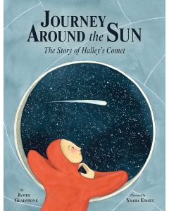 Journey around the Sun