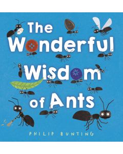The Wonderful Wisdom of Ants