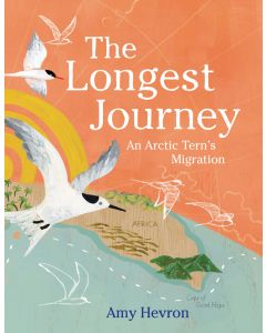 The Longest Journey: An Arctic Tern's Migration