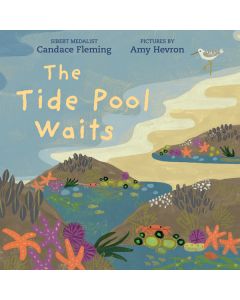 The Tide Pool Waits