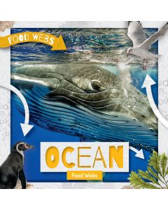 Ocean Food Webs