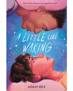 A Little Like Waking