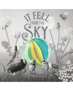 It Fell from the Sky
