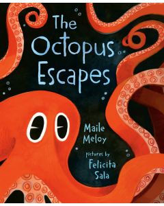 The Octopus Escapes