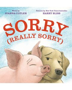 Sorry (Really Sorry)