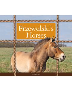 Przewalski’s Horses