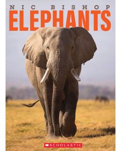 Nic Bishop Elephants