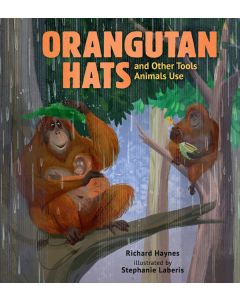 Orangutan Hats and Other Tools Animals Use