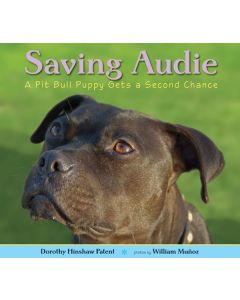 Saving Audie: A Pit Bull Puppy Gets a Second Chance