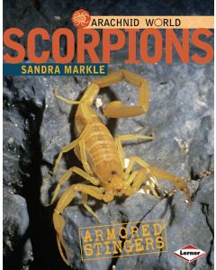 Scorpions: Armored Stingers