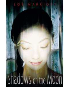 Shadows on the Moon