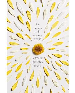 The Summer of Broken Things