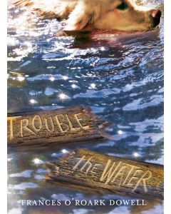 Trouble the Water