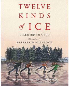 Twelve Kinds of Ice