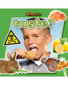 What Is Taste?