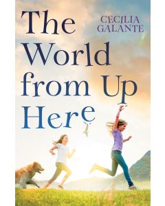 The World from Up Here