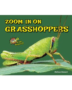 Zoom In on Grasshoppers