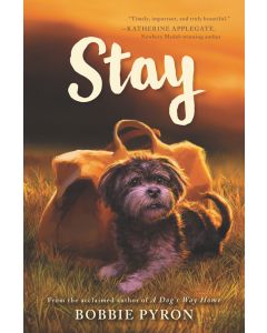 Stay