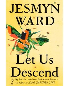 Let Us Descend: A Novel