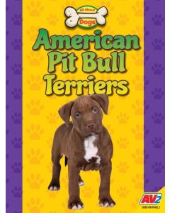 American Pit Bull Terriers