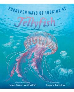 Fourteen Ways of Looking at Jellyfish