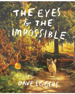The Eyes and the Impossible