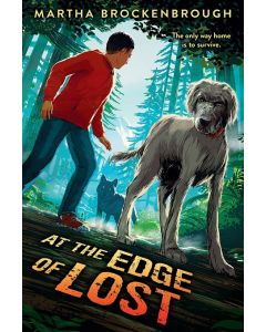 At the Edge of Lost